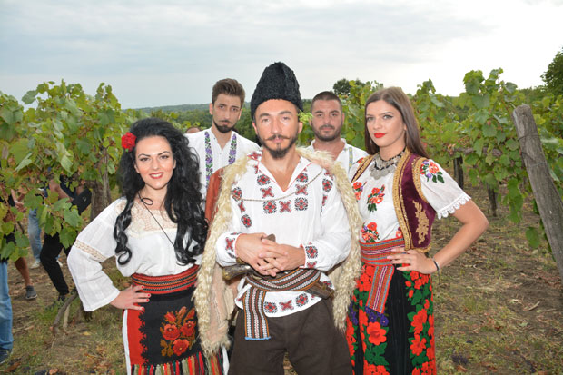 Почела берба у Рогљеву